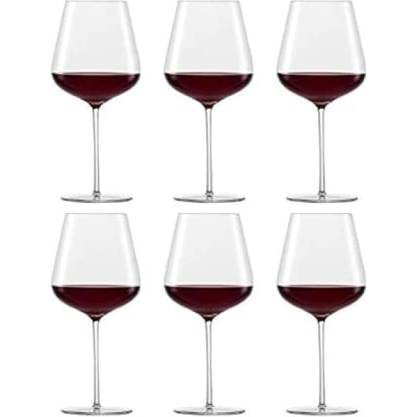 Schott Zwiesel Vervino Allround Glass with Moussing Point, Pack of 6