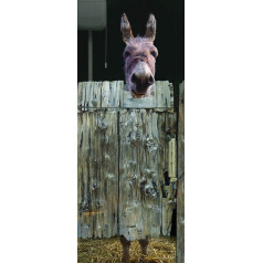 Plage 141005 Sticker ONDOOR, ADHESIVE FOR DOOR -WC, 204 x 83 cm