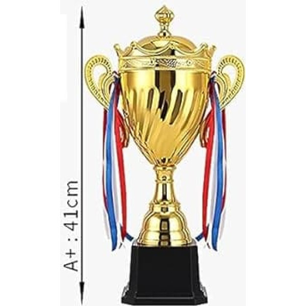 SWAYVES Trophäenpreis,Winnerpreise Für Sportklassenzimmer, Wettbewerbe,Winnertrophäen/41Cm