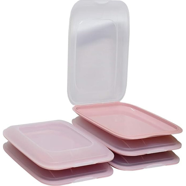 ENGELLAND - High quality stackable cold food boxes, food storage container for cold cuts. Sausage container. Perfect order in the fridge, pack of 5, colour: pink, dimensions: 25 x 17 x 3.3 cm