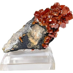 Vanadinit auf Goethit Marokko Mineral Fossil Stein Heilkristall Fossilien