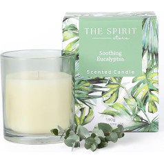 Scented Candles Set of 2 | Christmas Gift for Women Girlfriend for Birthday | Wellness Gift Natural Soy Large | Coconut Blossom, Wild Teak Wood, Eucalyptus