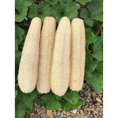 Natural Loofah Sponges Biodegradable Body Scrubber Exfoliating Loofah Bath Sponge 4 Pack