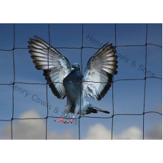 Bird Netting For the Garden 5m x 10m 50mm 2