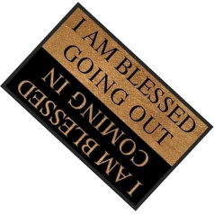 Front Door Rug, Home Frond Decor, Anti-Slip Rug with Greeting Message, Indoor Door Mats for Entryway, Home Accessories for Garden Entrance Patio Kitchen Porch Apartment Garage