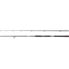 Abu Garcia Beast Spinning Fishing Rod