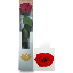Genérico Ewige Rose, rot, Geschenk zum Muttertag 