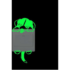 Dekorative Wandtattoos für Kinder | Leuchtende Lichtschalter-Aufkleber | Klebrige Fluoreszenz-Wanddekoration, im Dunkeln leuchtender Aufkleber für -Mädchen-Schlafzimmer