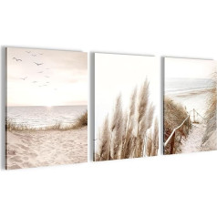 Novart N003935a Wall Picture Set Boho, Complete Ready to Hang, Living Room Bedroom Decoration, 3 Modern Pictures Beige