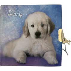 Gastronorm 1/1 Insulated Transport Container, EPS 60 cm x 40 cm x 29.5 cm, Light Grey, Pack of 2