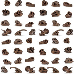 Dino Skulls