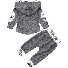 Baby Boys Girls Set Dinosaur Outfits Hoodie Tops Pants Pullover Print Outfits & Set Toddler Case Outfits Infant Cute Clothes Set A-62