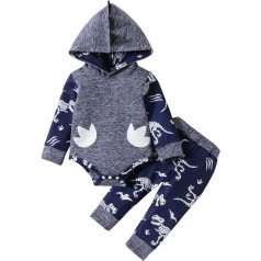 Toddler Boys Clothes Set, Baby Fall Long Sleeve Dinosaur Hooded Top, Dinosaur Print Pants, Comfortable Outdoor Outfits, Cute Kids Outfits A-202