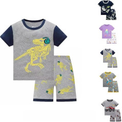 Trainingsanzug Kinder Sommer,elastischem Bund Kurz Sport T-Shirt und Shorts Set Hawaiihemd Kurze Hose Top mit Boys Kinderkleidung Baumwolle für Jungen Mädchen 1-8 Jahre