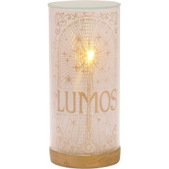 Warner Bros Harry Potter Lumos fluorescent tube