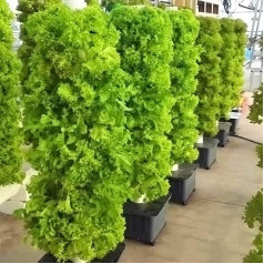 Hydroponic Tower Hydroponic Plant Kit with 45 Containers Aeroponic Plant Kit for Home Kitchen with Pump and Removable Water Tank