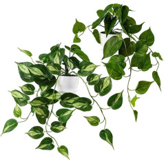 PASCH® Set of 2 Artificial Ivy Tots (33 cm) in White Ceramic Pots: Artificial Plants Like Real Ivy Artificial in Pot Artificial Plant in Pot Hanging Plant Artificial Ivy