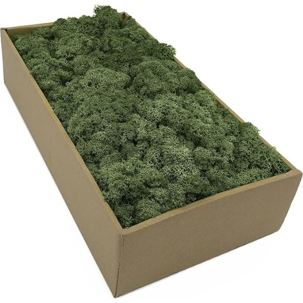 Icelandic Moss in 5 Different Colours, 250 g / 500 g / 1 kg, Real Preserved Natural Moss for Moss Painting, Craft Decoration and Model Making (Moss Green, 500 g)