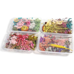 4 Boxes Real Natural Dried Flowers, DIY Natural Dried Flowers, Dried Flowers, for Epoxy Resin or Home Decoration, Random Colour