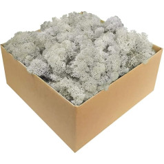 Iceland Lichen Moss in 1 kg / 500 g / 200 g Pack, Various Colours, Real Preserved Natural Moss (Iceland) for Crafts, Decorative Moss for Easter Decorations, Model Making