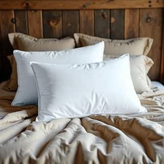 vingardium leviosa 1000g Goose Feather Down Pillow Soft Anti Allergic Dust Mites Hotel Quality Luxury Microfiber Soft Fluffy Best Pillow Pair for Back and Side Sleepers 48X