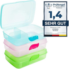 Children's Lunch Box with Compartments, Pack of 3, Lunch Box Children without BPA, Breakfast Box, Lunch Boxes with 3 Dividers + Click Closure, 100% Recyclable, Green, Blue, Pink, Model: Ane
