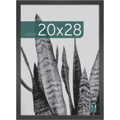 MCS Studio Gallery 51 x 71 cm Picture Frame, Black Wood Grain, Vertical & Horizontal Wall Hanging, Large Poster Frame for Photos, Posters, Art & Prints (Pack of 1)