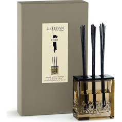 Cedre, Cedar Estéban Diffuser 250 ml Bouquet Perfume Triptyque, Room Fragrance