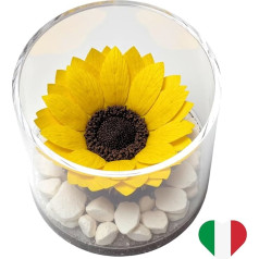 Premium-rose.com Round Box with Stabilized Sunflower and Carrara Marble Unique and Refined Gift Idea Gift Idea for Her Christmas Pink Cube Made in Italy