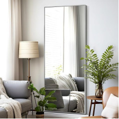 NeuType Full Body Mirror, for Hanging or Leaning against the Wall, Large Rectangular Bedroom Mirror, Wall Mirror (163 x 54 cm, Silver).