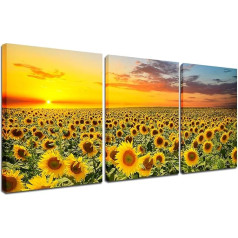 Canvas Wall Art Sunflower Pictures 3 Pieces Flower Landscape Painting Set for Home Living Room Kitchen Decor Bedroom Office Modern Artwork Print 12x16 Inch