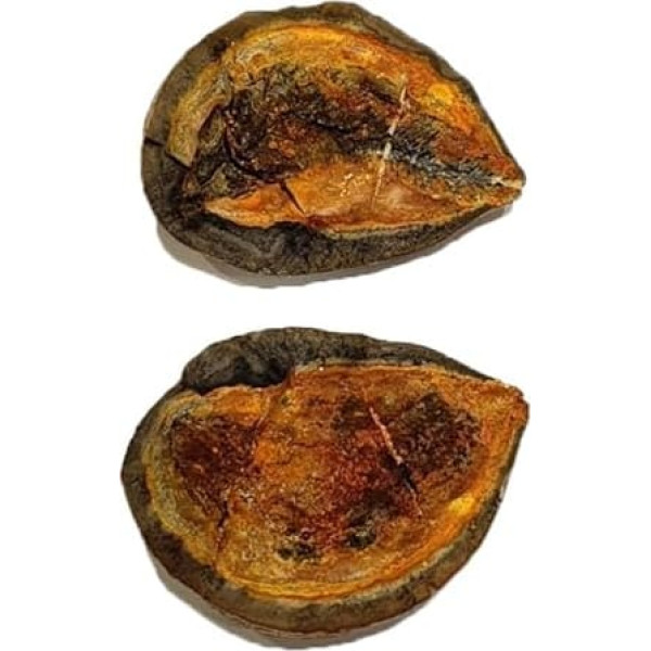 Pteronisculus cicatrosus Fisch Fossil (Fossilien) PFA35