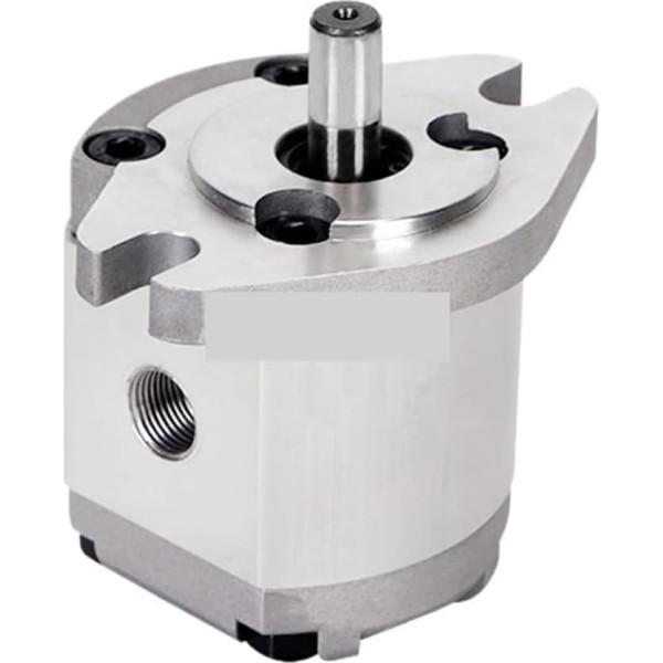 TBZFNZXF Kleine Hubraum-Zahnradpumpe Mini-Hydraulikpumpe (HGP-1A-F8R)