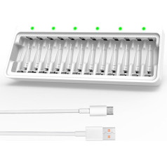 DLYFULL Battery Charger for AA AAA Ni-MH Ni-CD Batteries with Type C and Micro USB Input Port, Fast Battery Charger with LED Display for Rechargeable Batteries