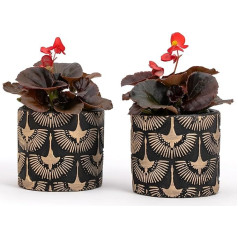 Vimin Box Pair of Terracotta Planters Hand Decorated Black and Gold for Plants and Flowers Home Decor Diameter 11cm-11cm (Black/Gold, 2xS)