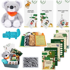 ODOXIA Soothing Corner | Perfect for Classroom | Sensory Soothing Corner with Items for Kids | Calming Corner Set with Posters, Solution Wall, Sensory Toys, Fidget Tools