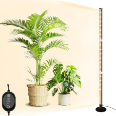 Plant Light LED Full Spectrum 6000 K with Base, 243 LED Plant Light with 3 Modes Light White Red Warm White Grow Light Removable with 6/9/12h Timer, 125 cm Standing Plant Lamp for Indoor Plants