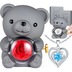 Eternal Rose Bear Gift for Women, Eternal Rose with Necklace, Mother's Day Gifts for Mum, Rose Forever Gifts for Mother's Day, Birthday, Rose Box