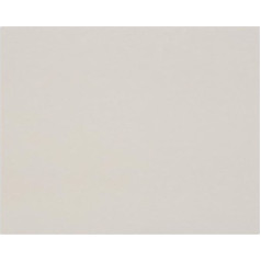 Clairefontaine 93977C Pack of 10 Sheets of Cardboard, 80 x 120 cm, 1 mm, 600 g, Ideal for Model Making, Light and Smooth, 100% Recycled, Grey