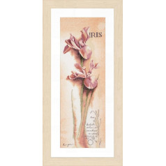 PN-0008049 Iris Botanical, Pack of 1