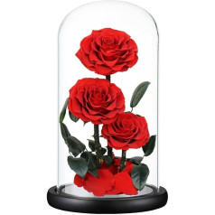 3 Ewige Rosen Premium Rose im Glas, mit Einer wunderschönen Geschenkbox, Geschenke für Freundin, Mama, für Geburtstag Hochzeit Thanksgiving Weihnachten Valentinstag