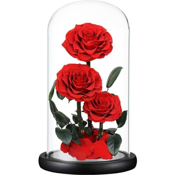 3 Ewige Rosen Premium Rose im Glas, mit Einer wunderschönen Geschenkbox, Geschenke für Freundin, Mama, für Geburtstag Hochzeit Thanksgiving Weihnachten Valentinstag