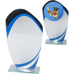 Stikla trofeja W553.09 / 20,5 cm