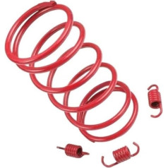 CEESuEB Kupplungsfeder, Torsionsfeder, 1000 U/min, 1500 U/min, 2000 U/min, kompatibel mit MF50QT50 2-Takt-Roller(1K Size Spring)