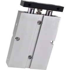 Führungsstangentyp Doppelführung Druckluftwerkzeug, Doppelstangen-TN-Typ Pneumatikzylinder TN25X30S TN10X75S TN20X125S(50MM*32MM)