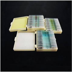 Microscope Accessories 75 Pieces Prepared Samples Scetion Slice Microscope Slides Durability and Reliable Performance