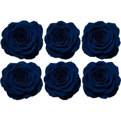 La Rosée Box mit 6 ewigen Rosen | Haltbarkeit 3 Jahre | konservierte Blumen zur Dekoration und Geschenk | Ewige Rose für DIY, Basteln, Blumenarrangements, Hochzeiten und Jubiläen (Sapphire)