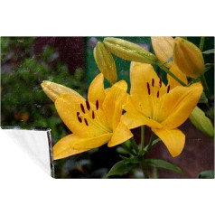 BestIdeas Weiche warme und gemütliche Decke für Bett, Couch, Sofa, Picknick, Camping, Strand, 150 x 100 cm