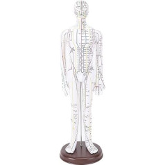 Acupuncture Model, 20.47 Inch PVC Human Body Professional Acupuncture Doll High Definition Human Acupuncture Point Model with Base for Chinese Medicine
