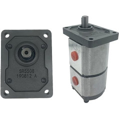 Double Hydraulic Gear Pump Oil Pump, CBN/T-F310/306 Small High-pressure Oil Pump Head 1pcs YIJIAN (Color : CBT-F314/314, Size : Flat key)